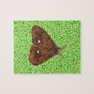 Vapourer Moth Puzzle Legpuzzel