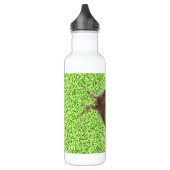 Vapourer Moth Waterfles (Links)