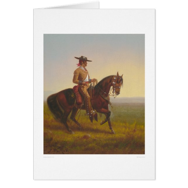 Vaquero (1164) (Voorkant)