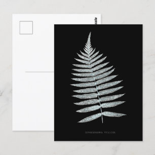 Varen - Gymnogramma Villosa - Röntgenfoto effect - Briefkaart