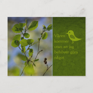 Våren kommer ändå CC0838 Slappna av Briefkaart