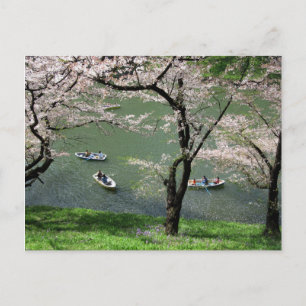 Varen op Chidorigafuchi: Tokyo, Japan Briefkaart
