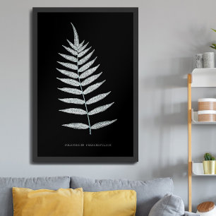 Varen - Polypodyum Fraxinifolium - Röntgen-effect Poster