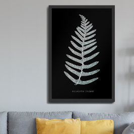 Varen - Polypodyum Vulgare - Röntgen-effect - 09 Poster