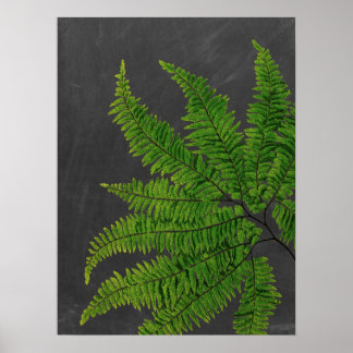 Varen teken w / Krijtbord Achtergrond nr. 5 Poster