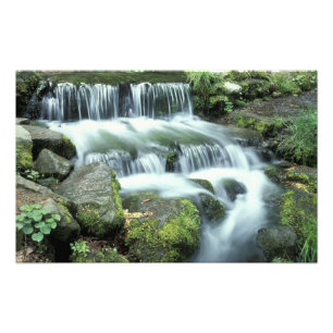 Varenbron, Nationaal park Yosemite Foto Afdruk