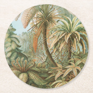 Varens, Filicinae Laubfarne door Ernst Haeckel Ronde Kartonnen Onderzetter