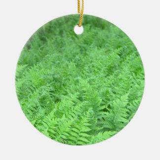 Varens Foto Ornament