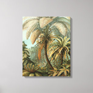 Varens Palmboom Antiek Botanische Varens Kunst Canvas Afdruk