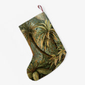 Varens Palmboom Antiek Botanische Varens Kunst Kleine Kerstsok (Achterkant (Hangend))