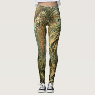 Varens Palmboom Antiek Botanische Varens Kunst Leggings