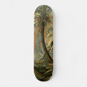Varens Palmboom Antiek Botanische Varens Kunst Skateboard