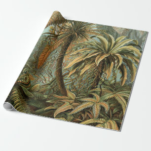 Varens Palmboom Antieke Botanische Varens Kunst Cadeaupapier