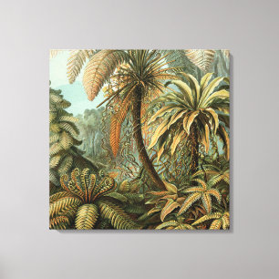 Varens Palmboom Antieke Botanische Varens Kunst Canvas Afdruk