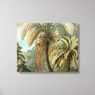 Varens Palmboom Antieke Botanische Varens Kunst Canvas Afdruk