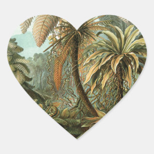 Varens Palmboom Antieke Botanische Varens Kunst Hart Sticker