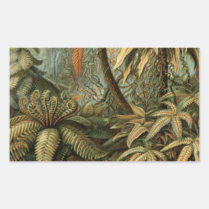 Varens Palmboom Antieke Botanische Varens Kunst Rechthoekige Sticker