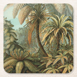 Varens Palmboom Antieke Botanische Varens Kunst Vierkante Kartonnen Onderzetter