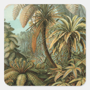 Varens Palmboom Antieke Botanische Varens Kunst Vierkante Sticker