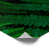 Varens van het eiland Pico Poster (Hoek)