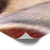 Vargas 71 poster (Hoek)