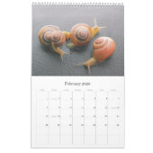 Varia 01 - calendrier 2011 (Feb 2026)