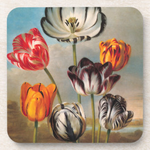  variabele Tulip Flowers in een landschap Bier Onderzetter