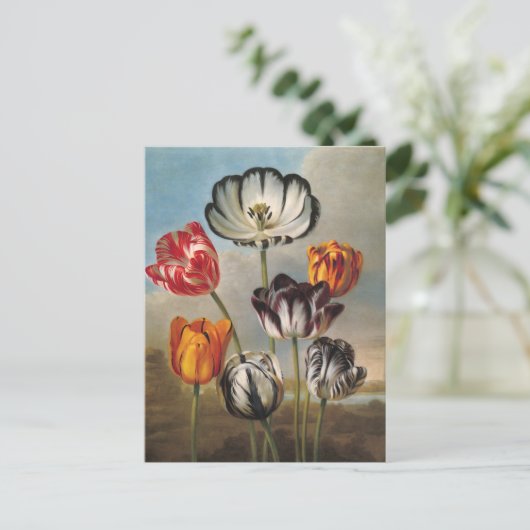 variabele Tulip Flowers in een landschap Briefkaart (Staand voorkant)