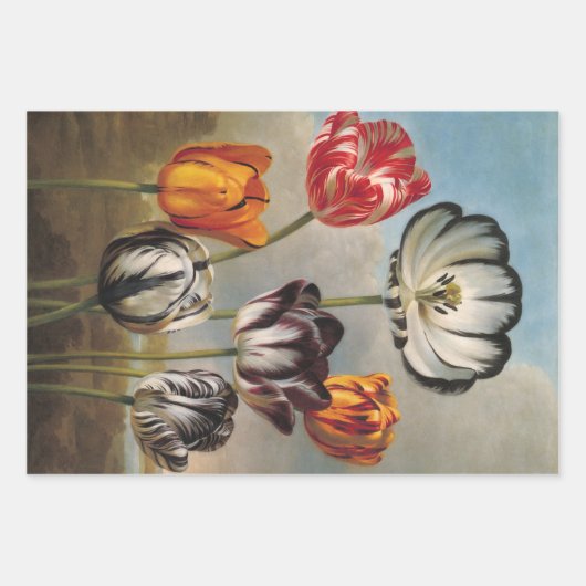 variabele Tulip Flowers in een landschap Inpakpapier Vel (Voorkant 3)