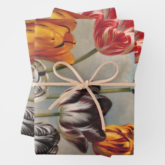  variabele Tulip Flowers in een landschap Inpakpapier Vel (In situ)