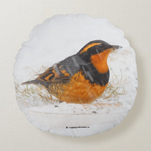 Variant Thrush Songbird op Snowy Winter Day Rond Kussen