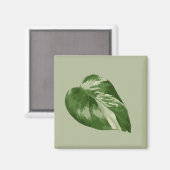 Variegated Monstera Albo Magnet (Recto/Verso)