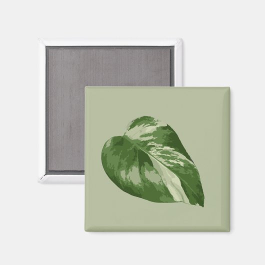 Variegated Monstera Albo Magnet (Recto/Verso)