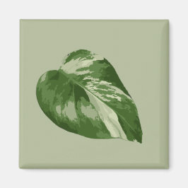 Variegated Monstera Albo Magnet Magneet