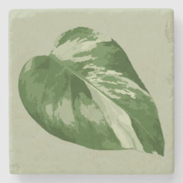 Variegated Monstera Leaf Coaster – Real Plant Art Stenen Onderzetter