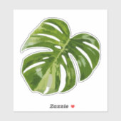 Variegated Monstera Sticker – Clear Cut Leaf (Feuille)