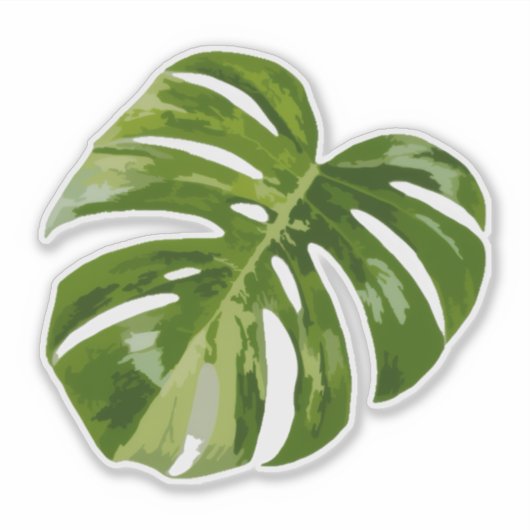 Variegated Monstera Sticker – Clear Cut Leaf (Devant)