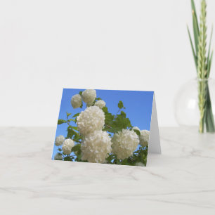 Variété intérieure de cartes de note de blanc de