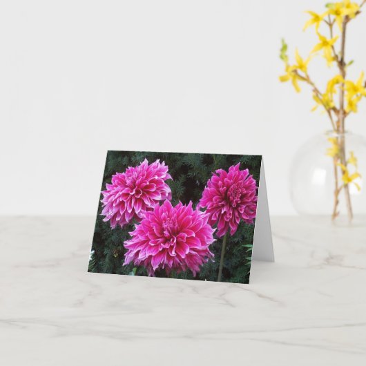 Variété intérieure de cartes de note de blanc de (Fleur jaune)