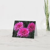 Variété intérieure de cartes de note de blanc de (Devant)