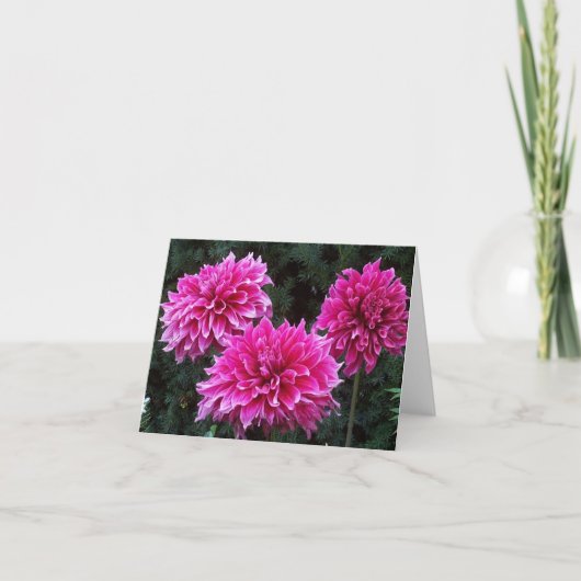 Variété intérieure de cartes de note de blanc de (Devant)