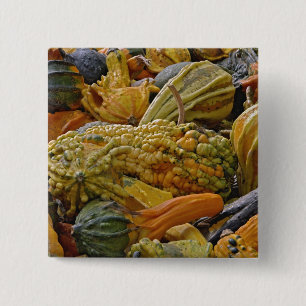 Variëteit van pompoen vierkante button 5,1 cm
