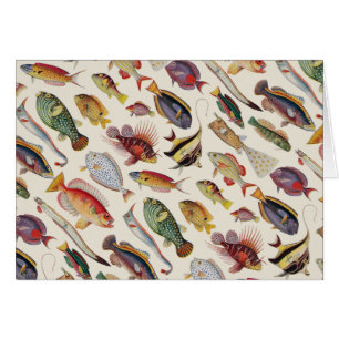 Variétés de poissons