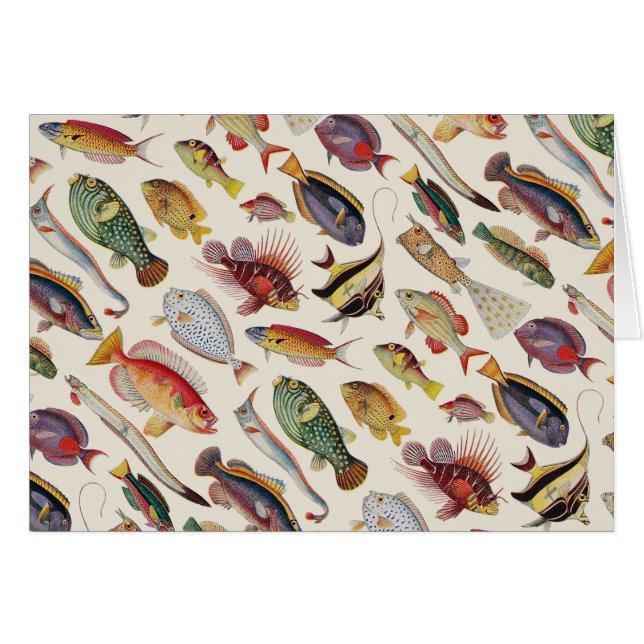 Variétés de poissons (Devant horizontal)