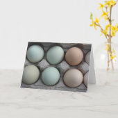 Variety Pack Kaart (Gele Bloem)