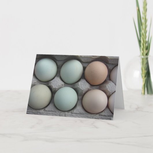 Variety Pack Kaart (Voorkant)