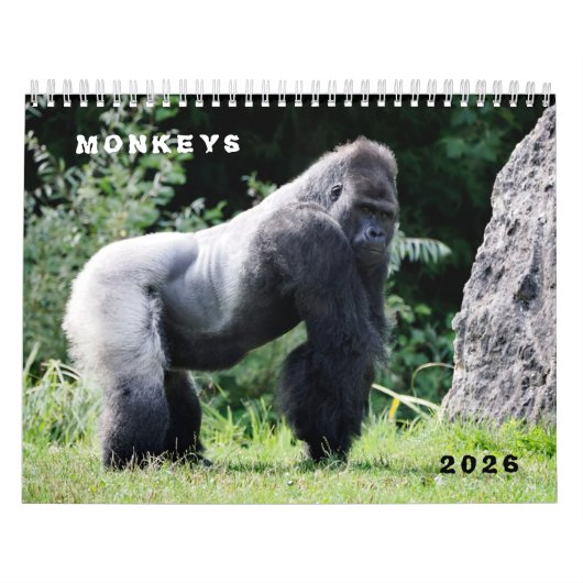 Various monkeys calendar kalender (Hoes)