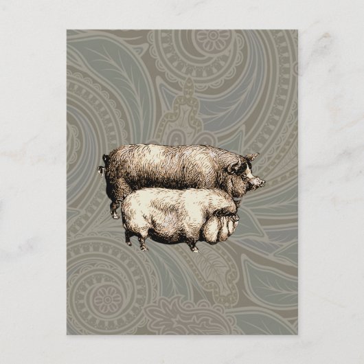 Varken Boerderij Land Antiek Illustratie Art Briefkaart (Voorkant)