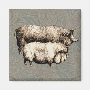Varken Boerderij Land Antiek Illustratie Art Magneet