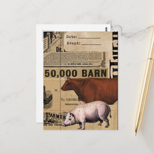  Varken en Koe Collage Briefkaart (Voorkant / Achterkant in situ)
